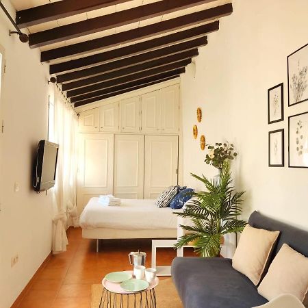 شقة Stunning Attic With Private Terrace And Parking Optional إشبيلية المظهر الخارجي الصورة