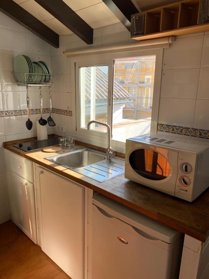 شقة Stunning Attic With Private Terrace And Parking Optional إشبيلية المظهر الخارجي الصورة