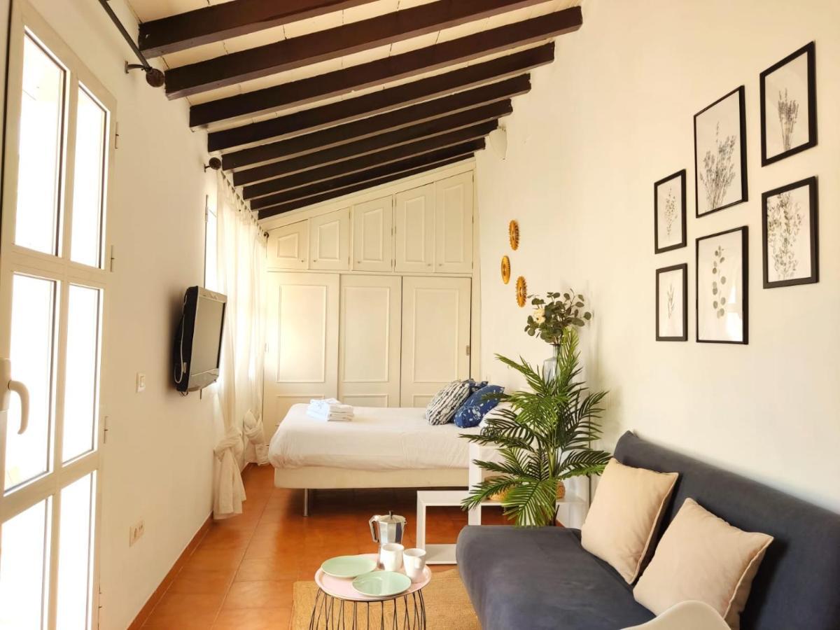 شقة Stunning Attic With Private Terrace And Parking Optional إشبيلية المظهر الخارجي الصورة