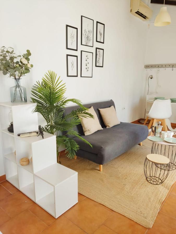 شقة Stunning Attic With Private Terrace And Parking Optional إشبيلية المظهر الخارجي الصورة